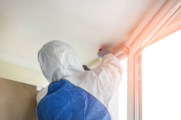 Asbestos and Lead Testing During Mold Inspection in Venice, FL