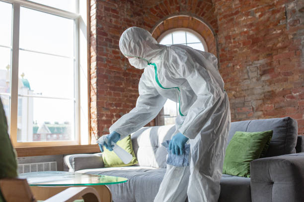 Why You Should Choose Our Mold Remediation Services in Venice, FL